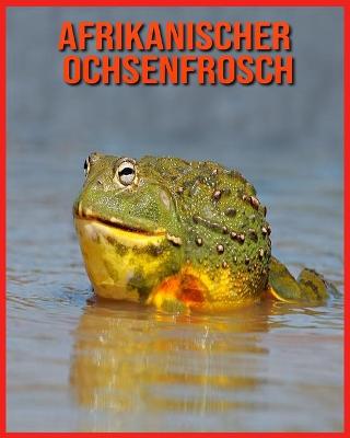 Book cover for Afrikanischer Ochsenfrosch