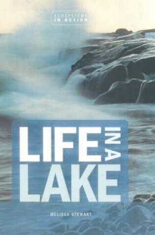 Cover of Life In A Lake
