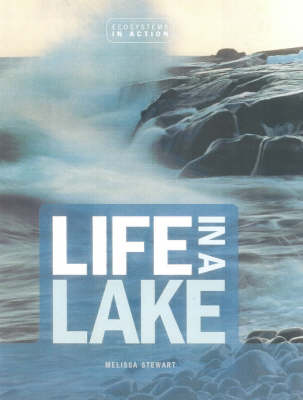 Book cover for Life In A Lake
