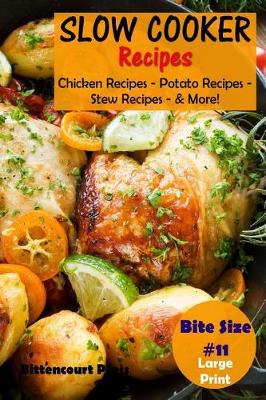 Book cover for Slow Cooker Recipes - Bite Size #11