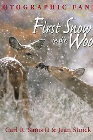 Cover of First Snow in the Woods