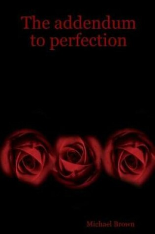 Cover of The addendum to perfection