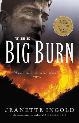 Book cover for The Big Burn