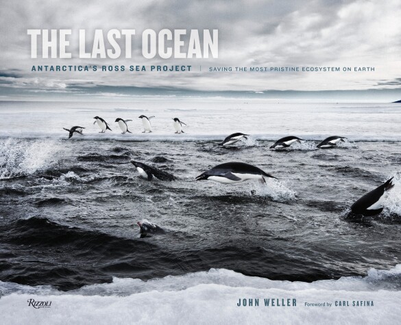Book cover for The Last Ocean: Antarctica's Ross Sea Project