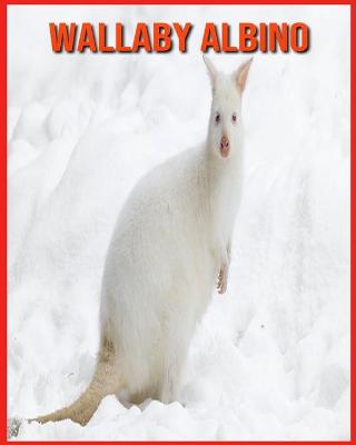 Book cover for Wallaby Albino