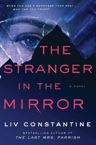 Cover of The Stranger in the Mirror