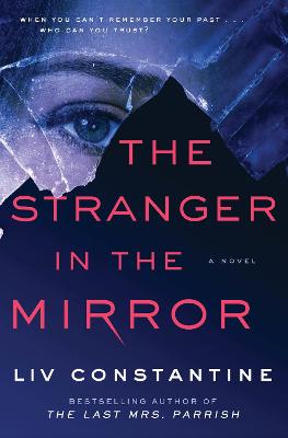 Book cover for The Stranger in the Mirror