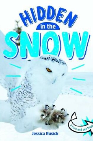 Cover of Hidden in the Snow