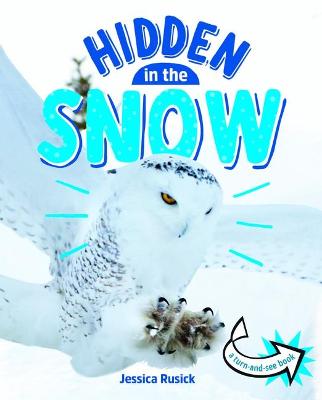 Book cover for Hidden in the Snow