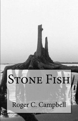 Book cover for Stone Fish