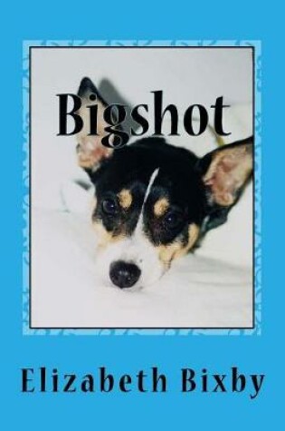 Cover of Bigshot