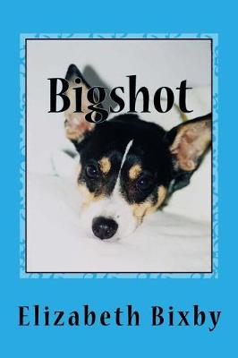 Book cover for Bigshot