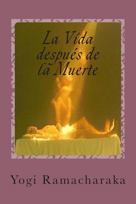 Book cover for La Vida Despues de la Muerte