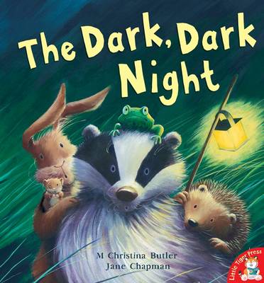 Book cover for The Dark, Dark Night