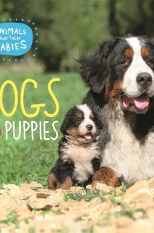 Cover of Animals and their Babies: Dogs & puppies