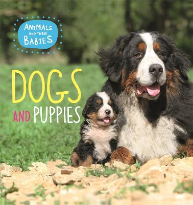 Book cover for Animals and their Babies: Dogs & puppies