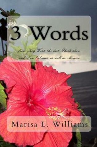 Cover of 3 Words