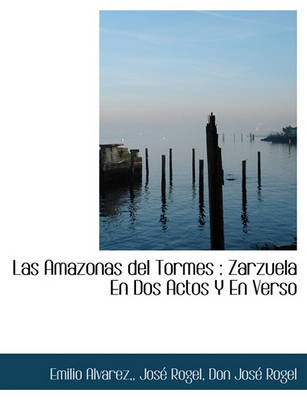 Book cover for Las Amazonas del Tormes