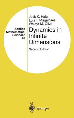 Book cover for Dynamics in Infinite Dimensions