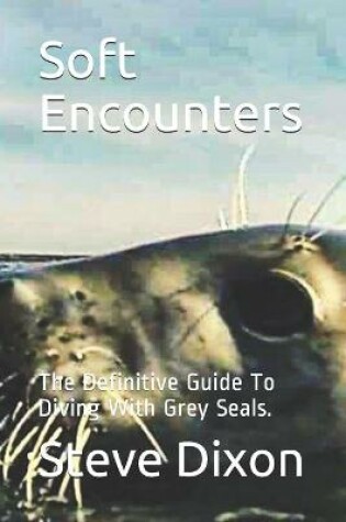 Cover of Soft Encounters