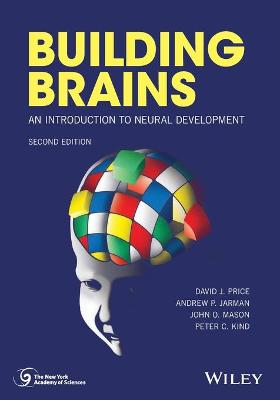 Book cover for Building Brains