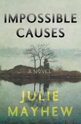 Book cover for Impossible Causes