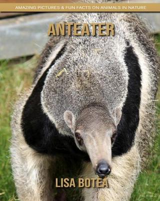 Book cover for Anteater