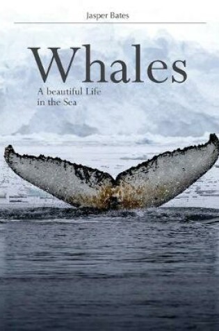 Cover of Whales, A beautiful life in the sea