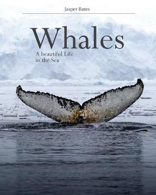 Cover of Whales, A beautiful life in the sea