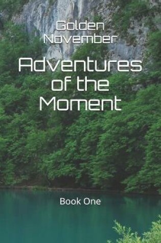 Cover of Adventures of the Moment