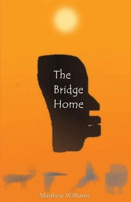 Book cover for The Bridge Home