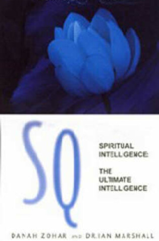 Cover of Connecting with Our Spiritual Intelligence