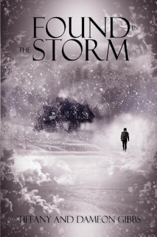 Cover of Found In The Storm