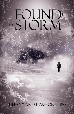 Book cover for Found In The Storm