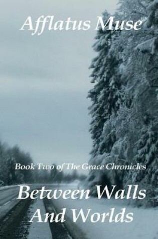 Cover of Between Walls and Worlds