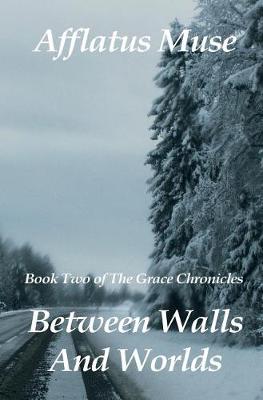 Book cover for Between Walls and Worlds