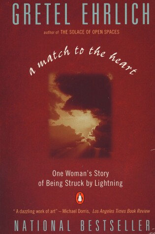 Cover of A Match to the Heart