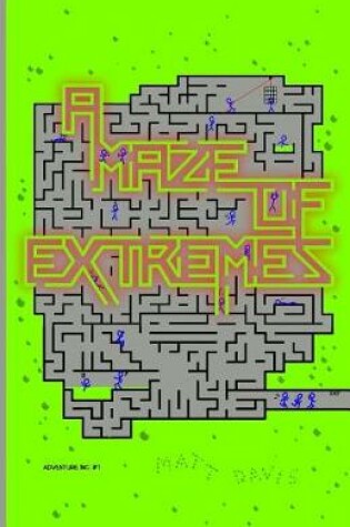 Cover of A Maze of Extremes