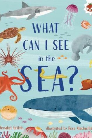 Cover of What Can I See in the Sea?