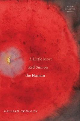 Book cover for A Little More Red Sun on the Human