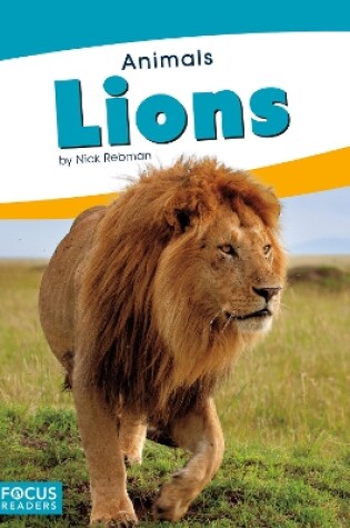 Cover of Animals: Lions
