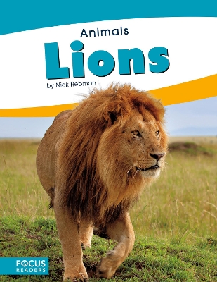Book cover for Animals: Lions