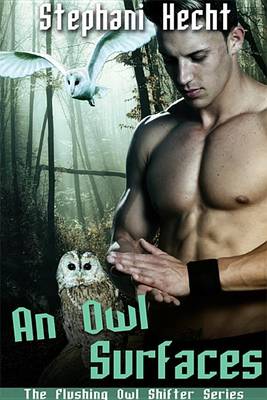 Book cover for An Owl Surfaces