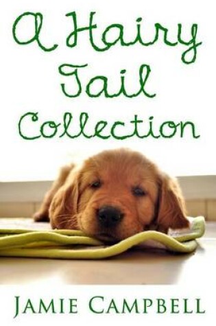 Cover of A Hairy Tail Collection