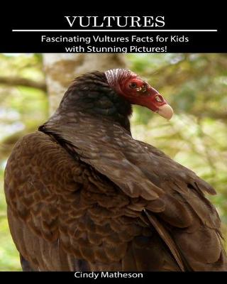 Book cover for Vultures