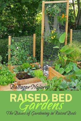 Book cover for Raised Bed Gardens