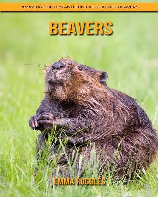 Book cover for Beavers