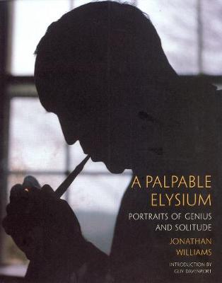 Book cover for A Palpable Elysium