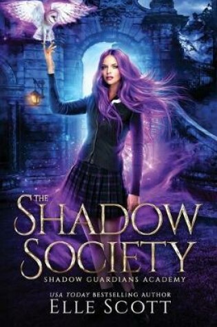 Cover of The Shadow Society