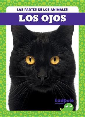 Cover of Los Ojos (Eyes)